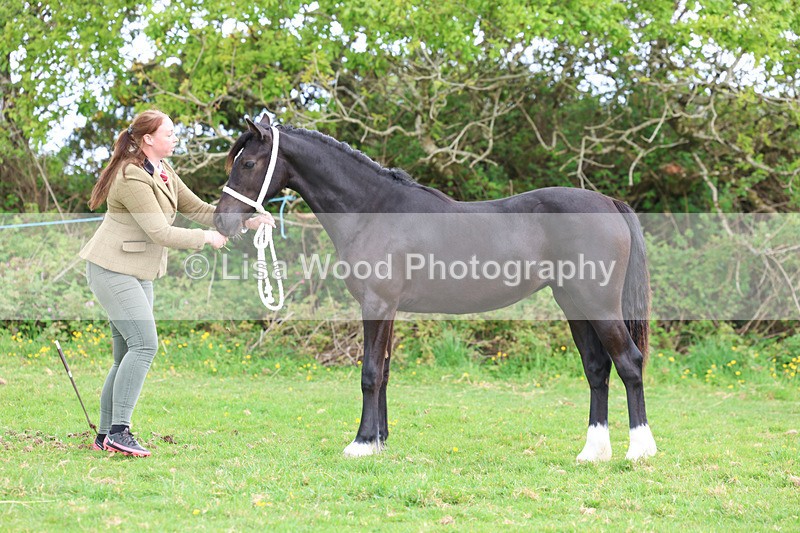 3E7A0892 - In Hand Championship