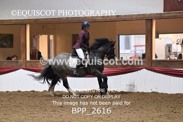 BPP_2616 - MFS PRELIM