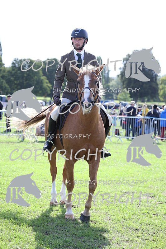 APP_3731 - Class 12 M&M ridden