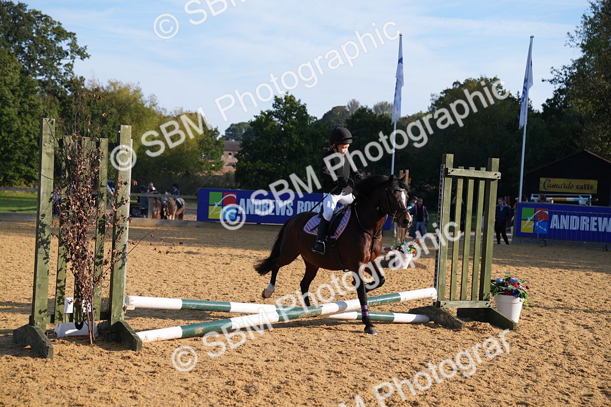 SBM_59091 - J63 - Minis Clear Round 30cm 40cm