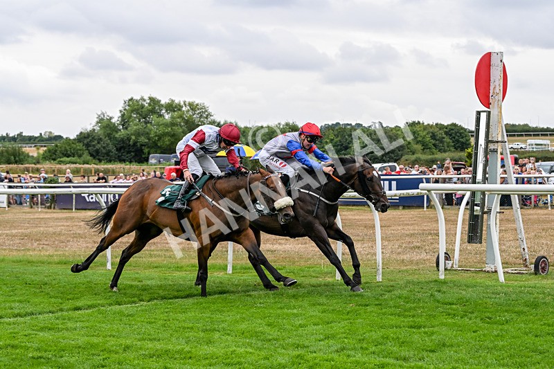 170826-Race 3-Quercus-9375 - Race 3 15.15pm Chapman Milestones Celebration, Thank You NHS Handicap