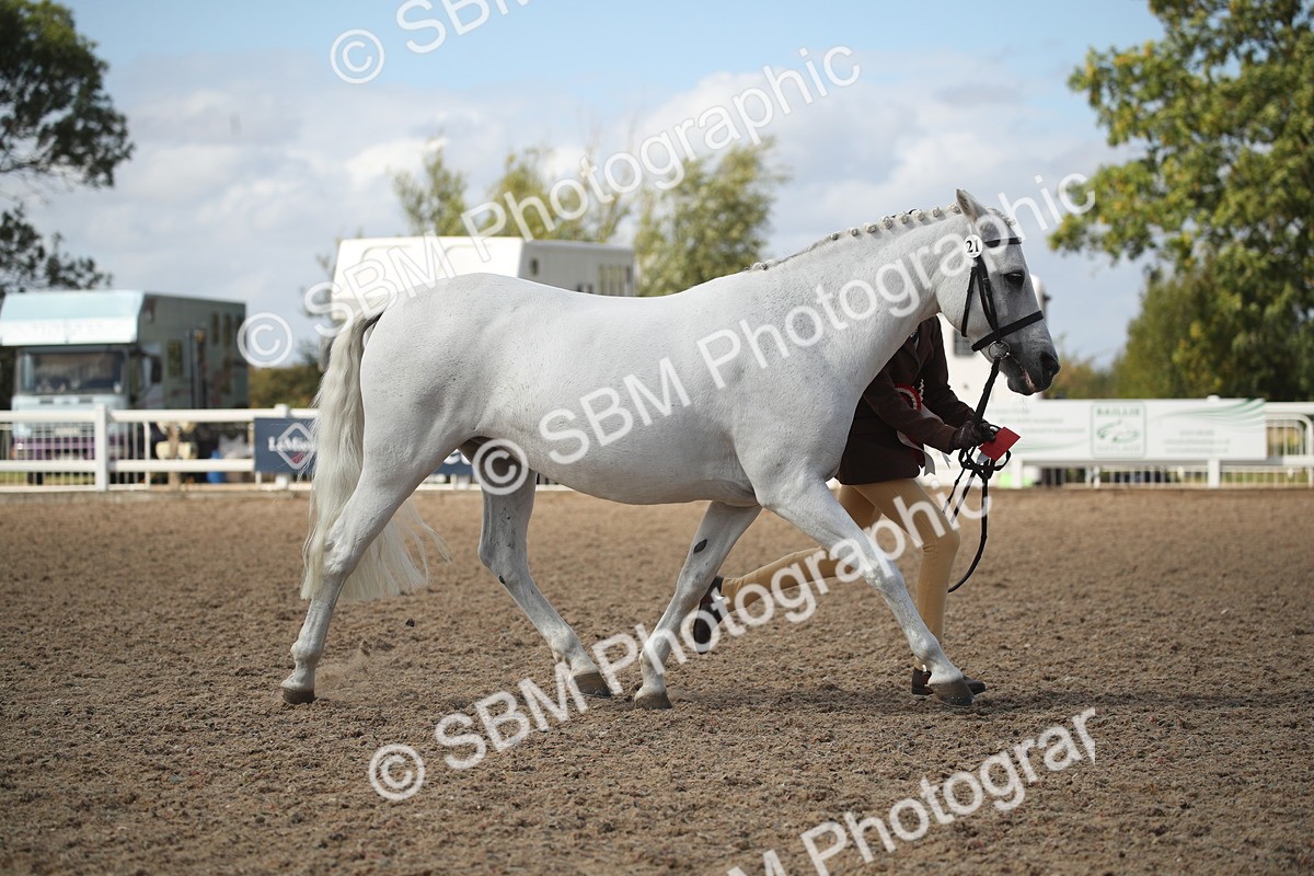 SBM_23591_Class 605 - 2026 - Area - IH Veteran - Vicky Gutteridge