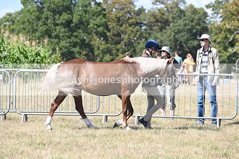 WJ6_4463 - Class 17 Mountain & Moorland