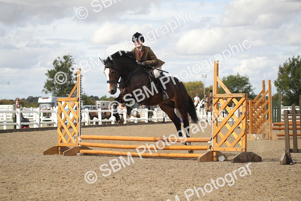 SBM_14507 - Class 505a - M&M Working Veteran - 50cm (15-19)