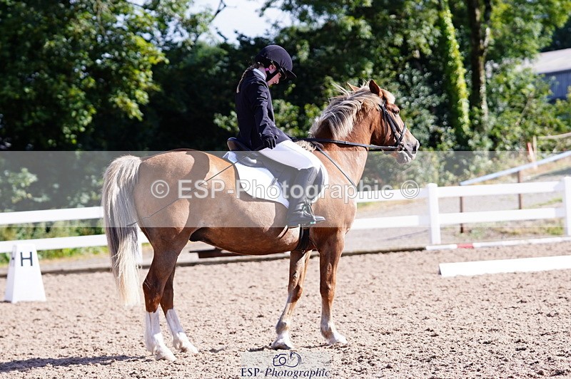 240809A-091416-00186 - Dressage Competition