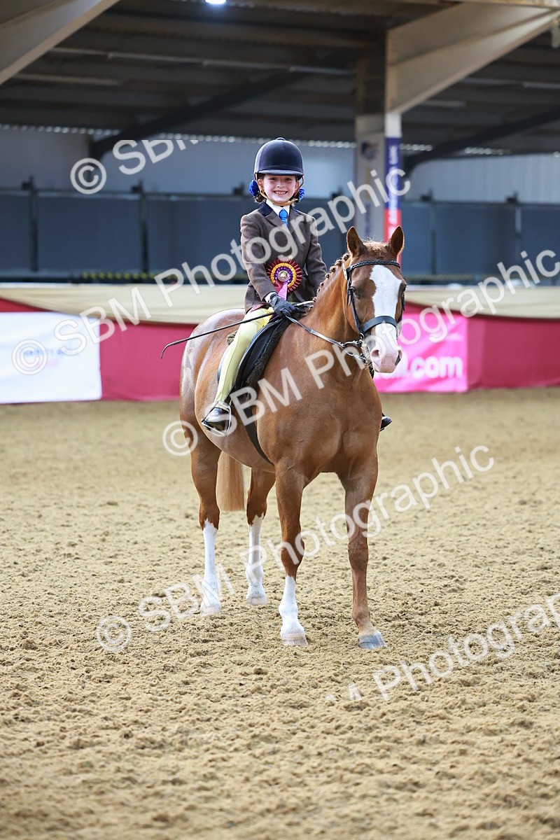 SBM_07753 - Class 101 - HOYS Veteran Qualifier - Ridden Diamond
