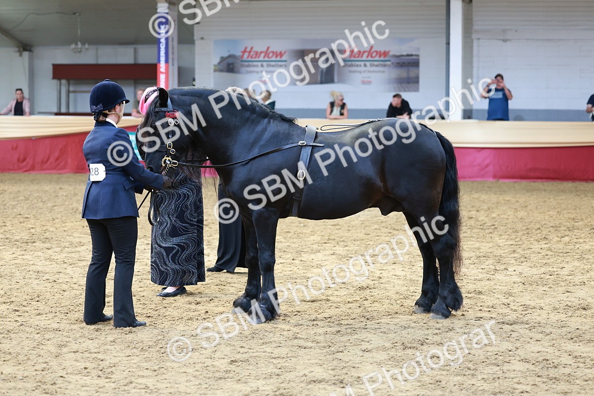 SBM_17481 - Class 951 - M&M IH Supreme Final