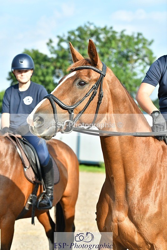 230817-083412-02418 - Stable Shots