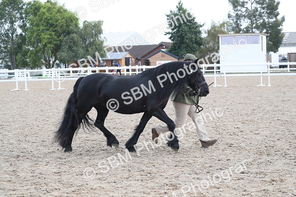 SBM_23312 - Class 606 - 2025 Area - IH Pre Vet