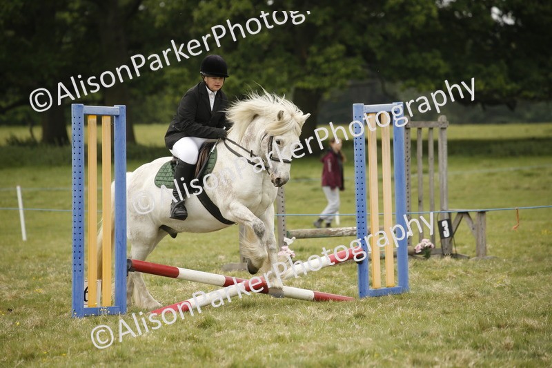 20250517-0790 - Class 2 - 30cm Off Lead Rein
