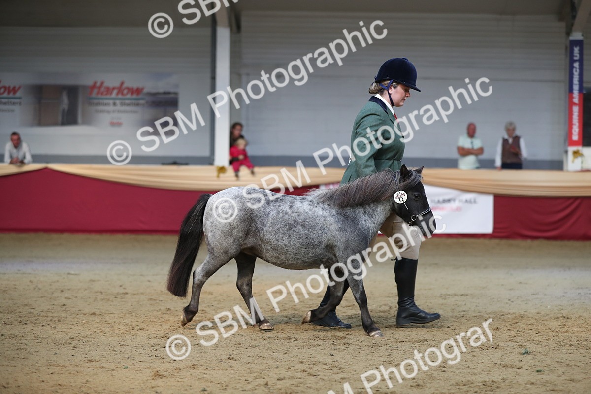 SBM_01349 - Class 3a Area IH Pre Vet