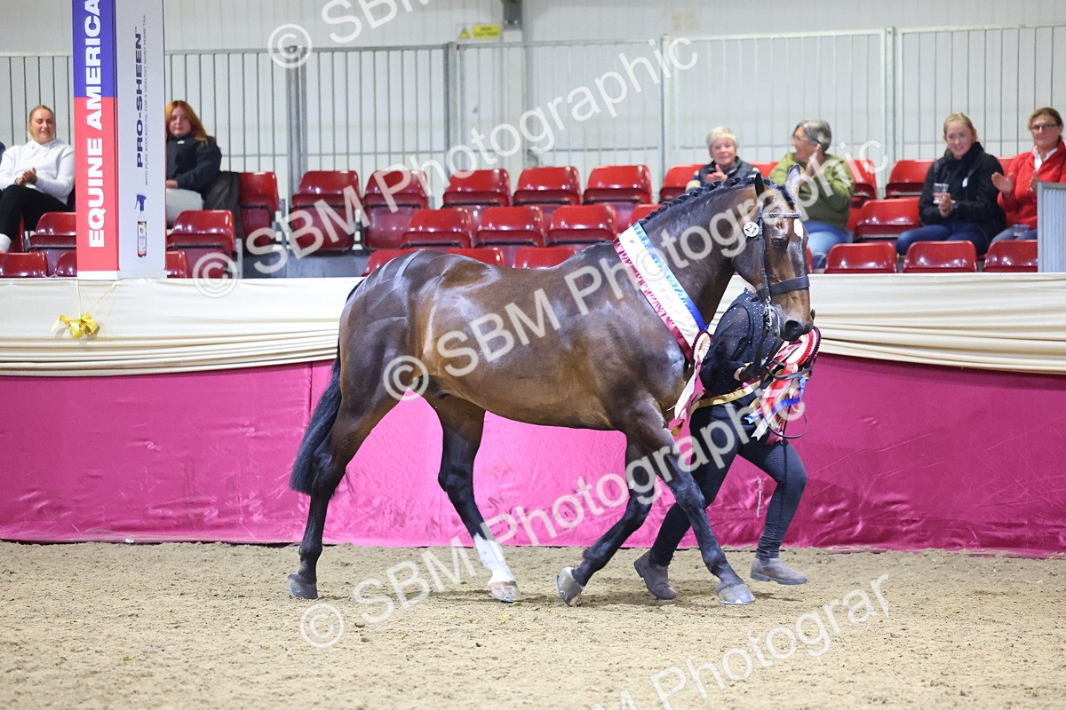 0B8A4563 - Class P Veteran Champ