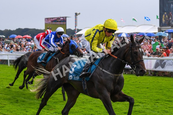 100923-Race 4-Tropical Island-0785 - Race 4 3.15pm Edge Windows Nursery Handicap at York