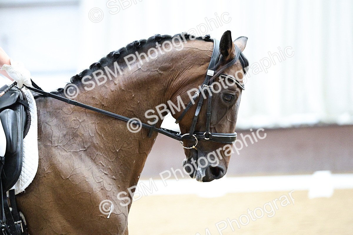 SBM_001631 - Class 7 - Elementary 5