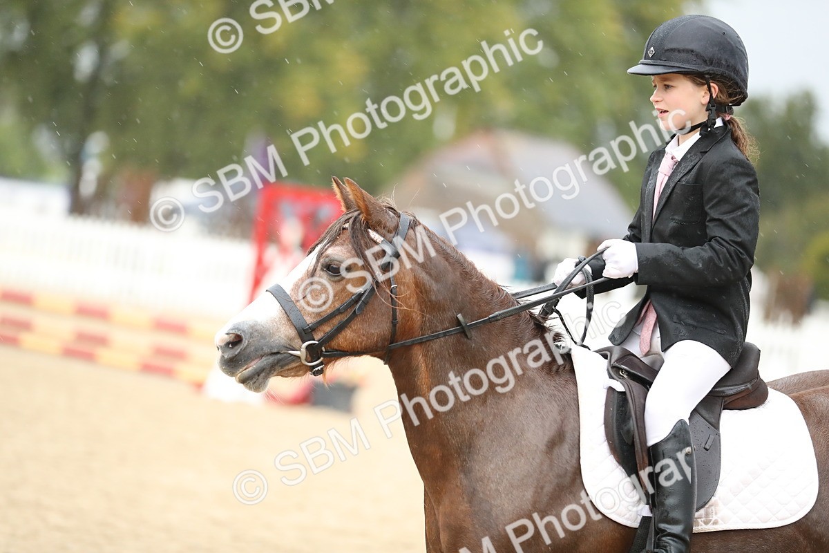 SBM_34376 - J60 Clear Round 50cm