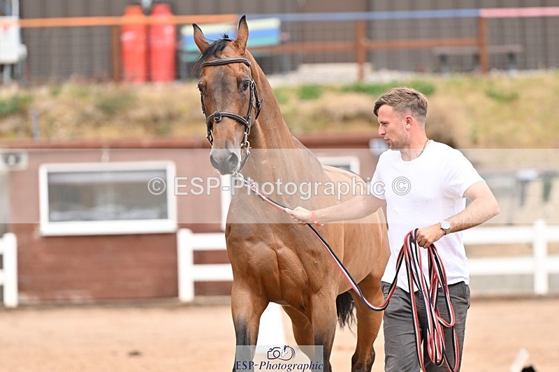 250716-154438-02178 - Trot Up 3.30 to 4.30