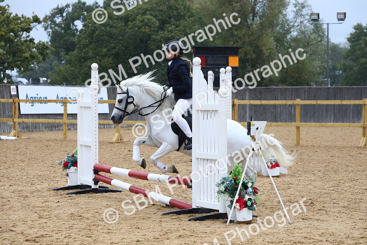 SBM_71440 - J4 - Mini Tour Junior Pony 45cm Championship