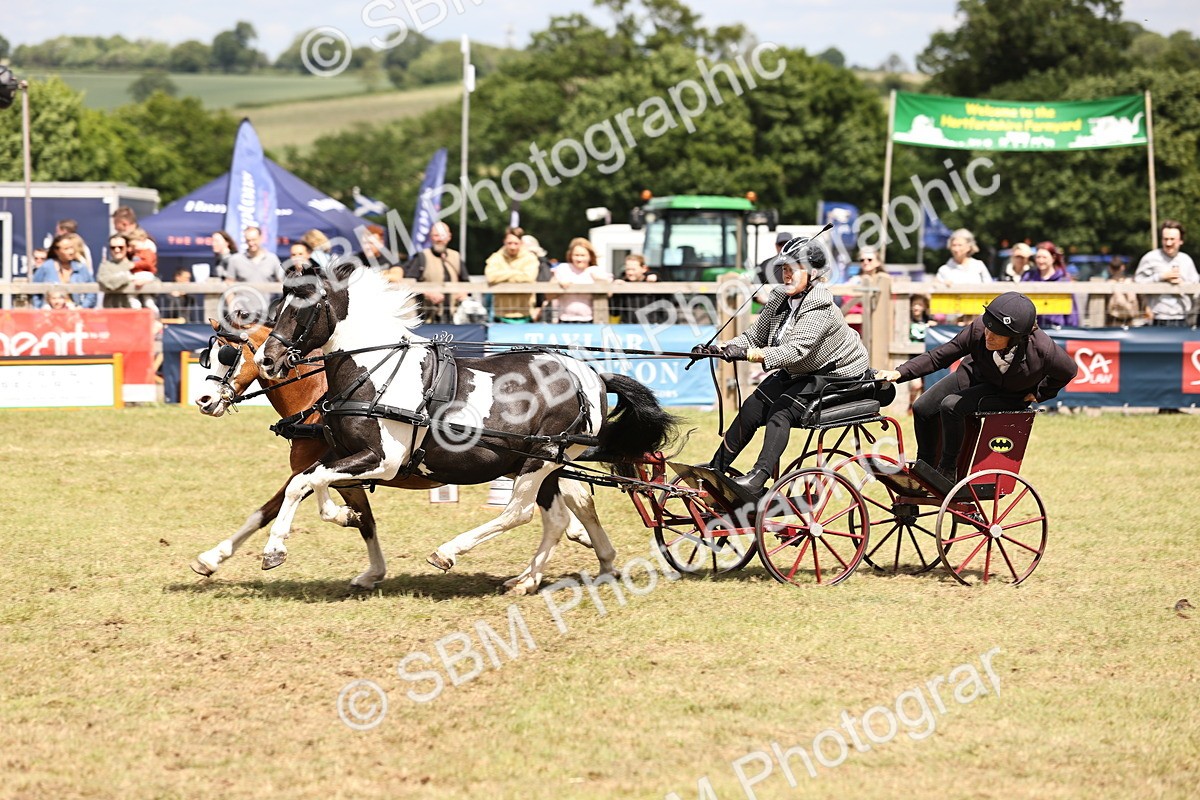 SBM_16040 - Class 91 - Scurry  exceeding 122cms