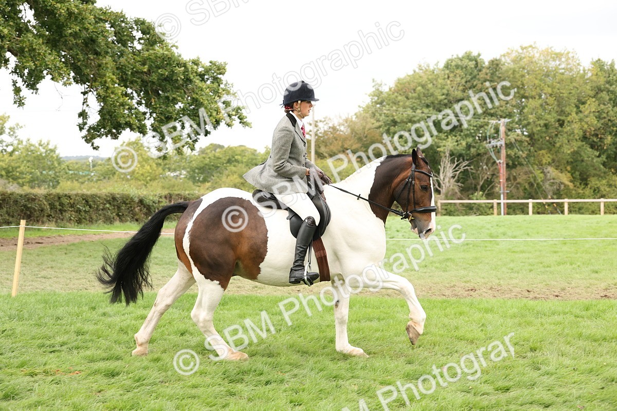 SBM_67247 - S67 - Piebald & Skewbald Horse Ridden