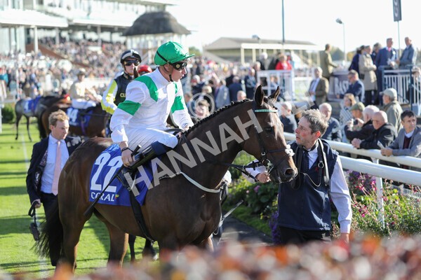 yr08102022r4-9 - Race 4 3.15pm The Coral Sprint Trophy