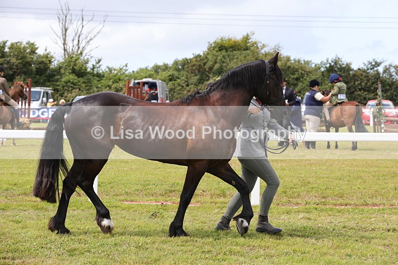 1X9A4771 - Class 35: Veteran In Hand