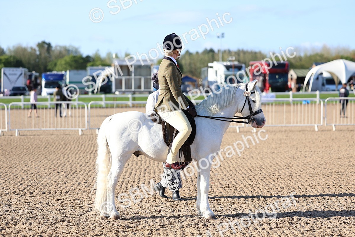 SBM_07850 - Class 301 - Ridden M&M - Small Breeds