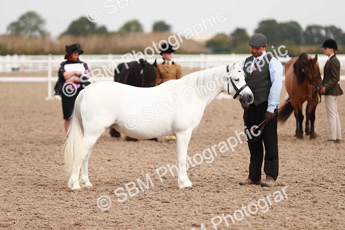 SBM_12491 - Class 207 IH M&M