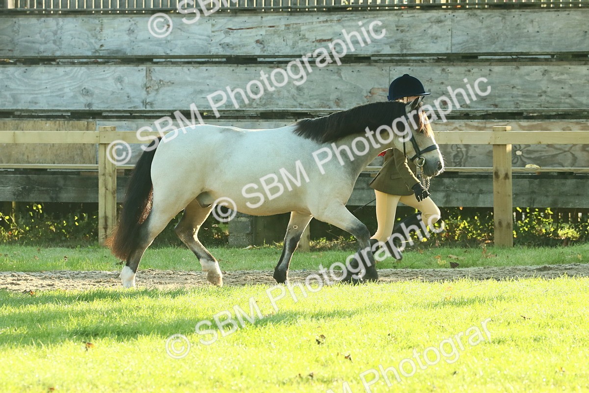 SBM_57385 - S37 - Starters In Hand Showing