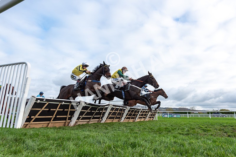 161125-Race 1-Gaelic Pride-2922 - Race 1