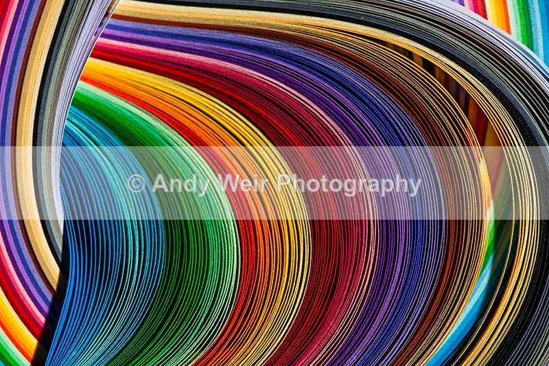 20130212-_MG_2513 - Miscellaneous Photographs