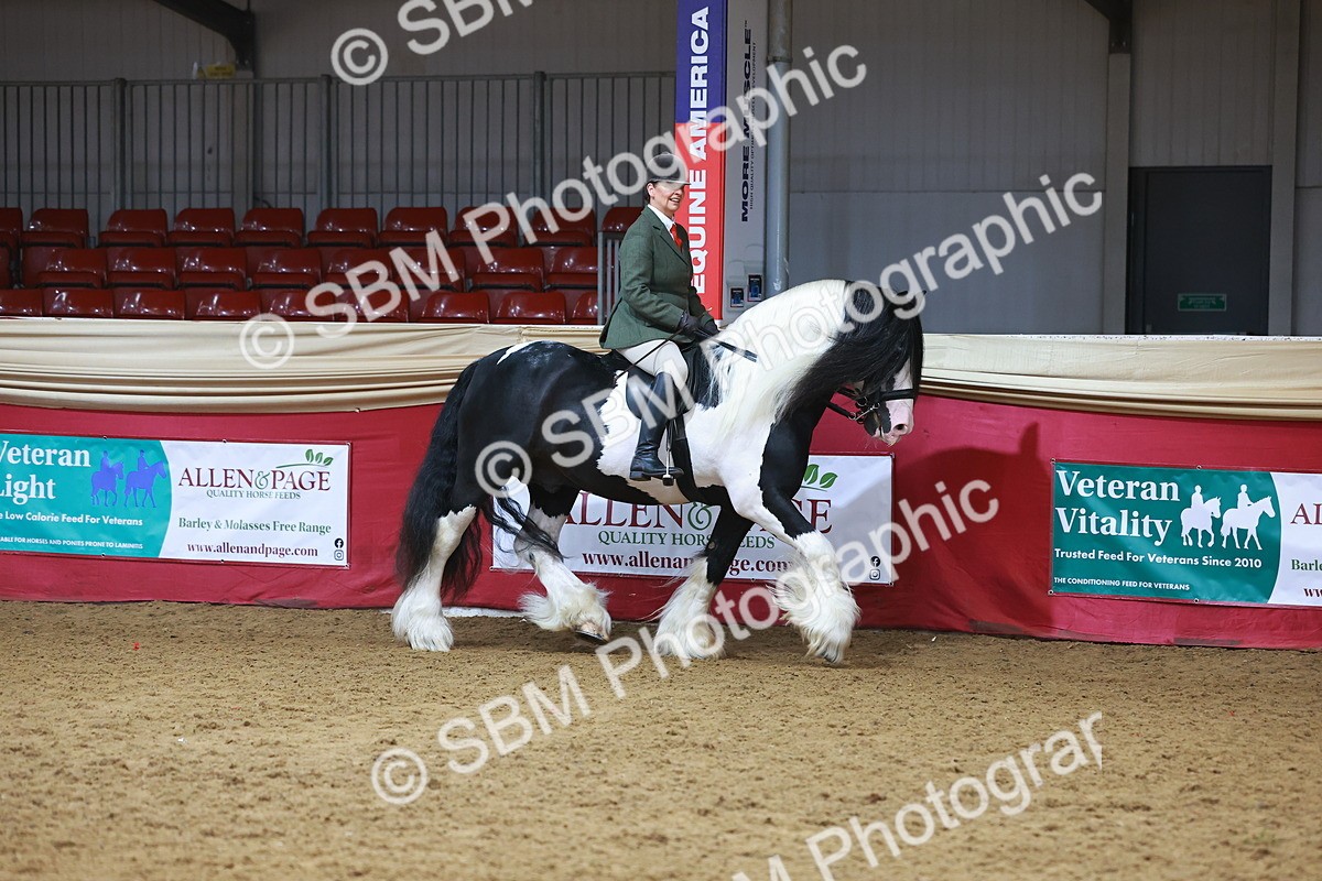 SBM_09390 - Class 102 - HOYS Veteran Qualifier - Ridden Veteran