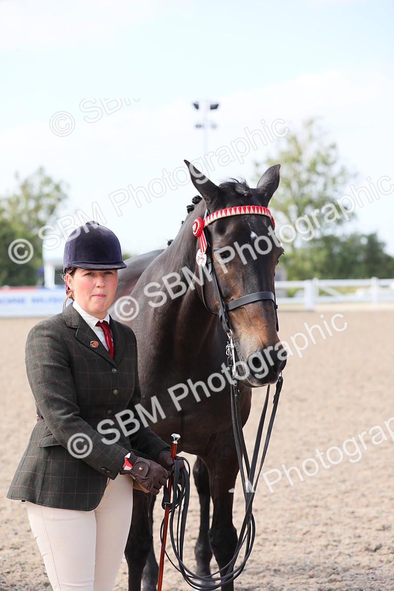 SBM_15762 - Class 312 IH Competition Horse/Pony