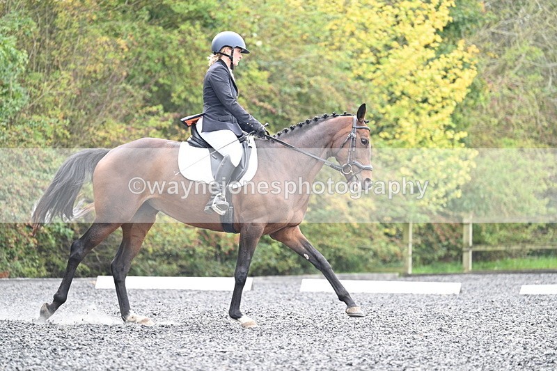 WJ7_3867 - Time 11:04 to 11:38