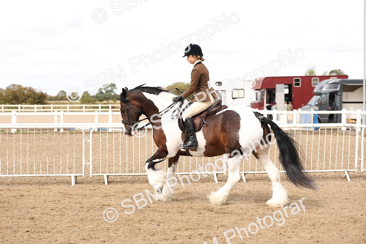 SBM_04268 - Class 54 - Riding Club Horse/Pony