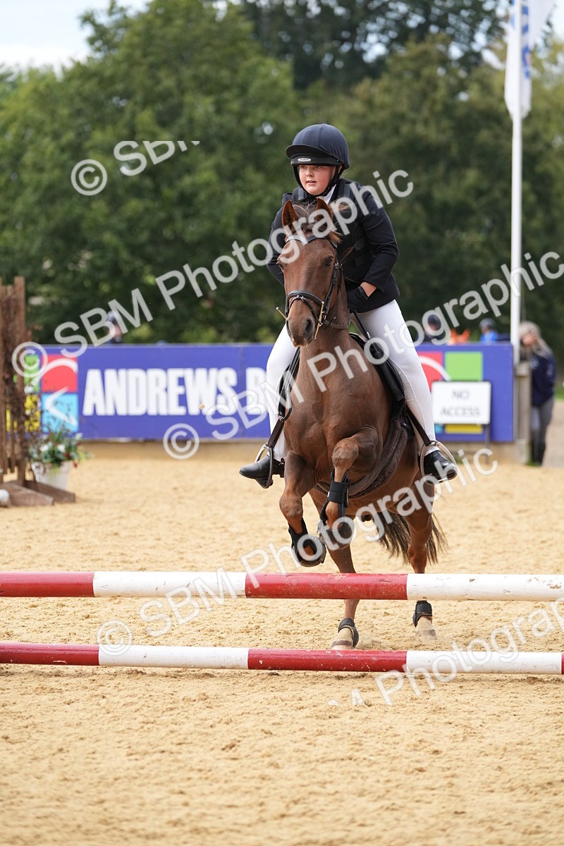 SBM_74732 - J4 - Mini Tour Junior Pony 45cm Championship