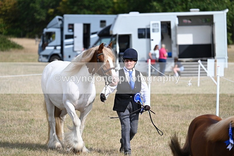WJ7_8014 - In-hand Championship