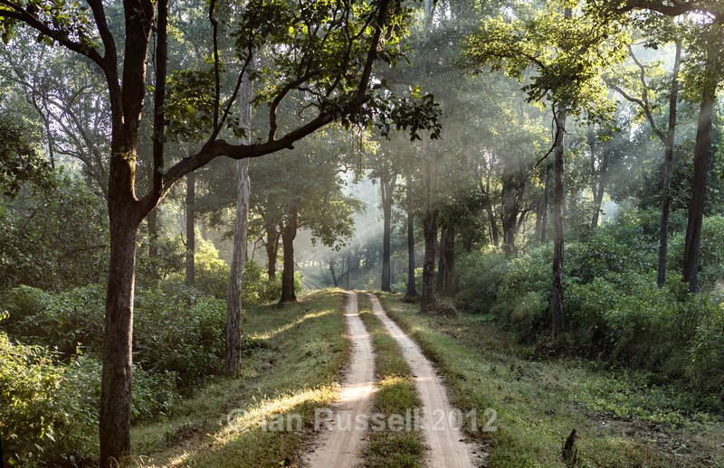  - Indian Safari 2017