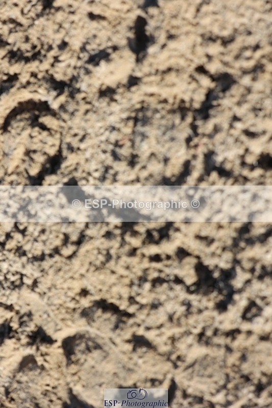 241027-130450-17521 - Presentations - BE90 3DE