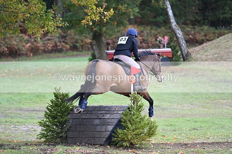 WJ7_5370 - Time 13:00 to 13:18