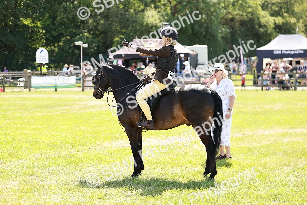 SBM_17632 - Class 112-113 - BSPS LIHS Working Sports Pony