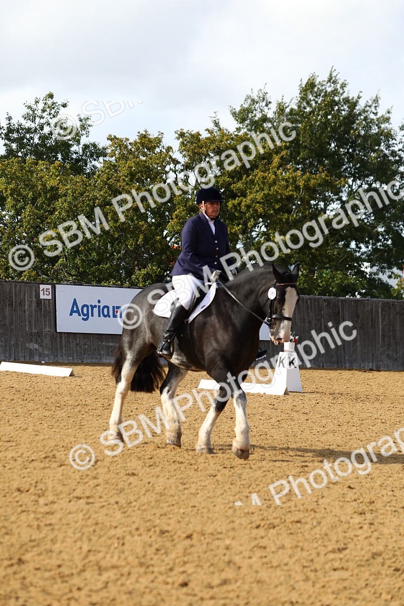 SBM_24514 - D11 - Small Tour Championship Prelim 1