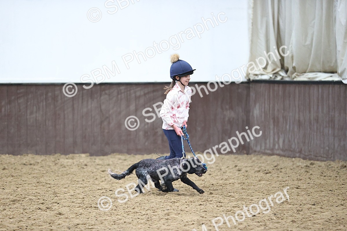 SBM_001441 - Class 3 - Horse & Hound 60cm
