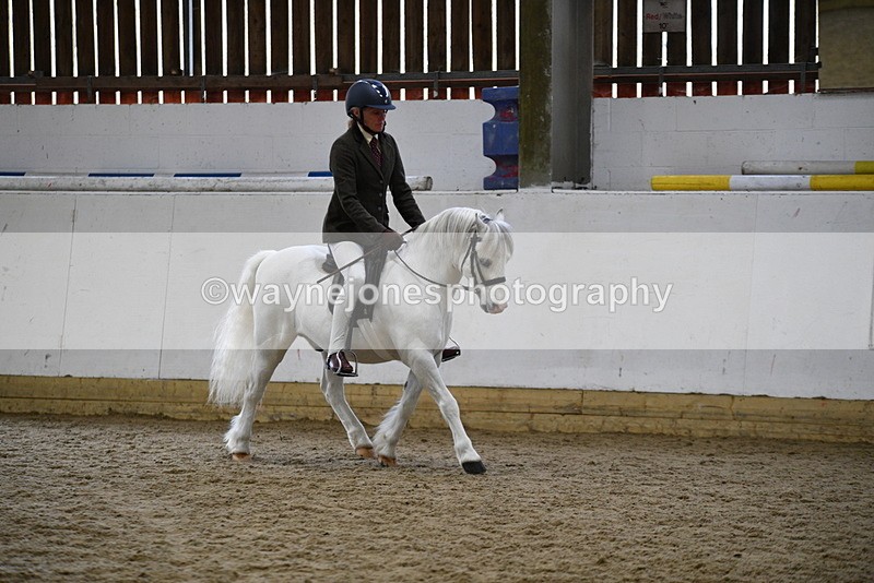 WJ5_6257 - Class 9 Ridden Veteran