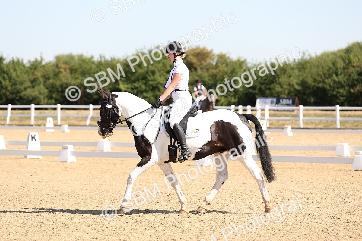 SBM_001008 - Intro 2