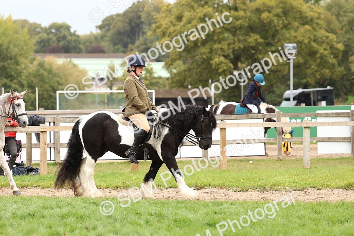 SBM_64388 - S58 - Coloured Pony Ridden