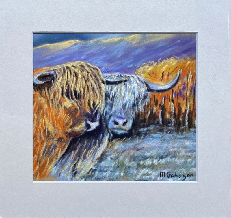 Heilan Coos - Simply Scottish