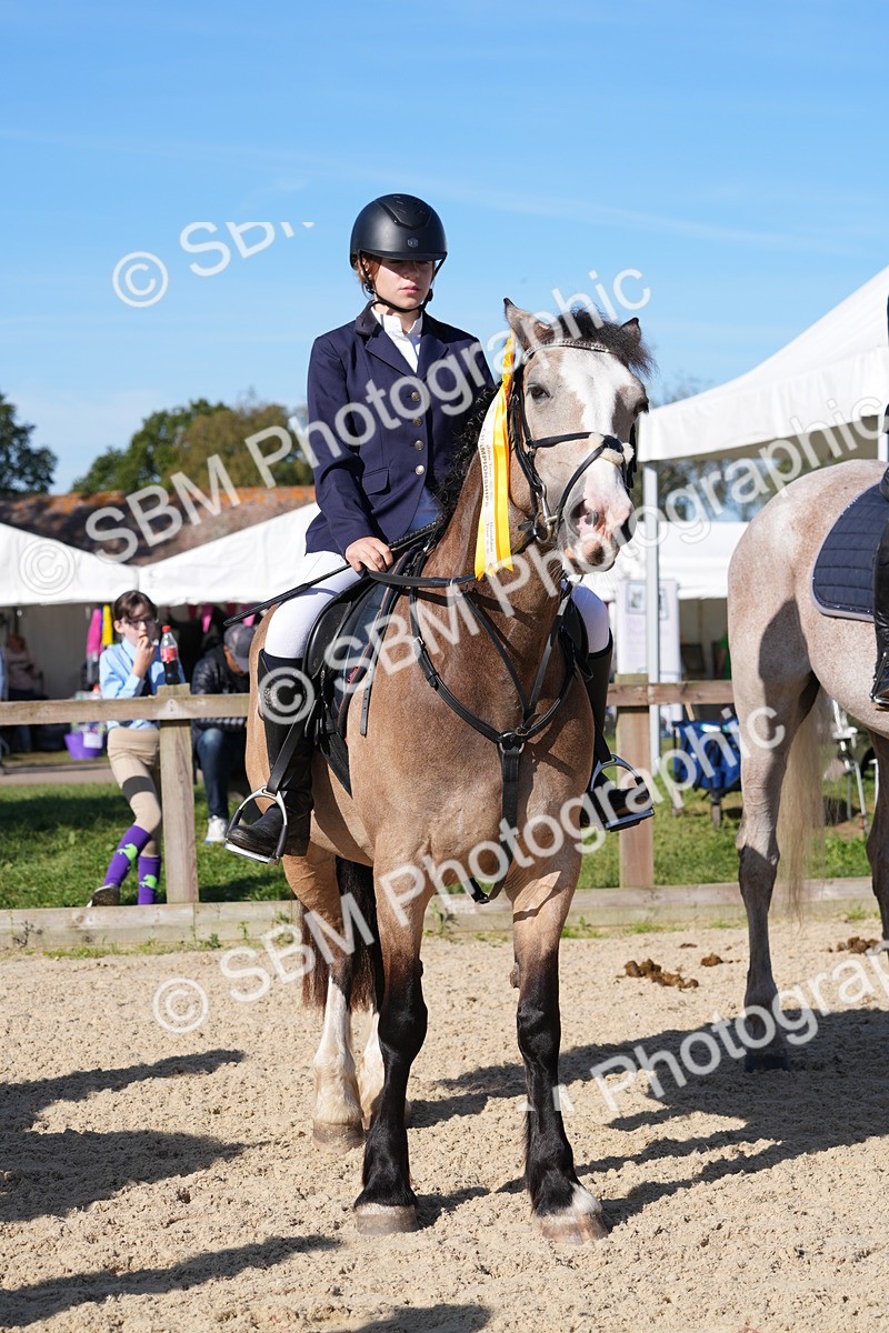 SBM_36255 - J 20 - Junior Horse 50cm Championship