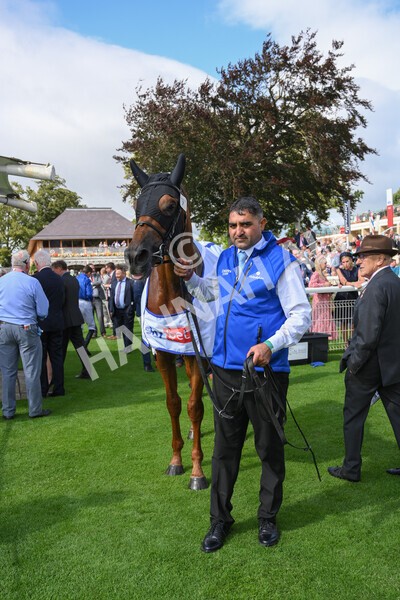 yr18082021r3-111 - Race 3 3.00pm Sky Bet Great Voltigeur Stakes