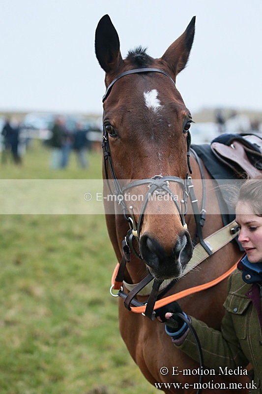 PtP 170219 -144 - Combined Services Point-To-Point Larkhill 17/02/19