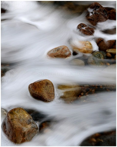 'Stone path' - Nature